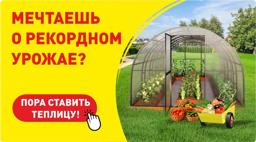 Пора ставить теплицу!