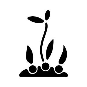 Многолетники