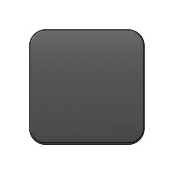 Выключатель накладной Schneider Electric Blanca 1 кл. антрацит, без подсветки, арт. BLNVA101016 Выключатель накладной Schneider Electric Blanca 1 кл. антрацит, без подсветки, арт. BLNVA101016