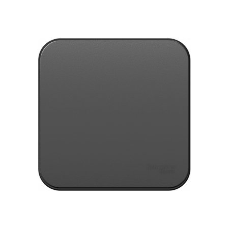 Выключатель накладной Schneider Electric Blanca 1 кл. антрацит, без подсветки, арт. BLNVA101016