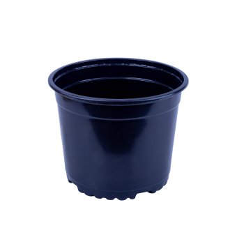 Горшок для рассады