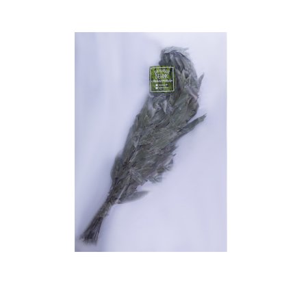 Веник банный эвкалиптовый, Дуб Веник