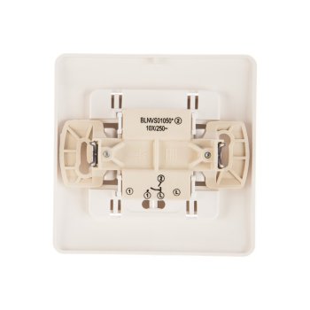 Выключатель встраиваемый Schneider Electric Blanca 2 кл. молочный, без подсветки, арт. BLNVS010502