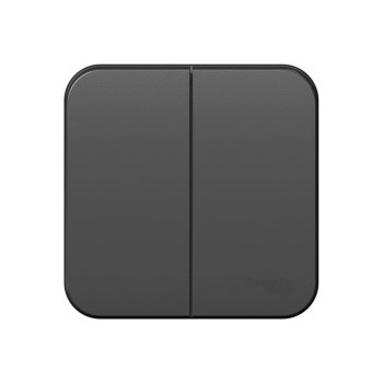 Выключатель накладной Schneider Electric Blanca 2 кл. антрацит, без подсветки, арт. BLNVA105016 Выключатель накладной Schneider Electric Blanca 2 кл. антрацит, без подсветки, арт. BLNVA105016