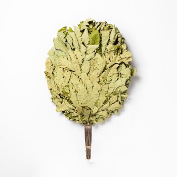 Веник банный дубовый, Дуб Веник стандарт Премиум