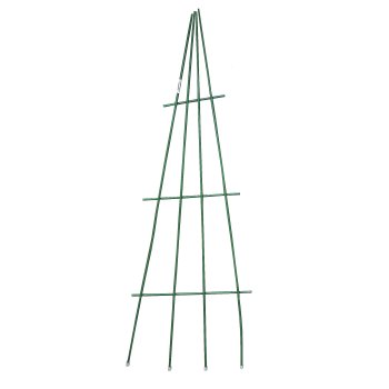 Шпалера Веер 52х150см