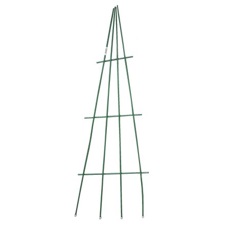 Шпалера Веер 52х150см