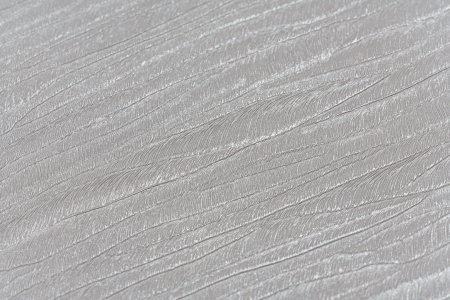 Обои флизелиновые Артекс OVK Альто-уни 11387-05