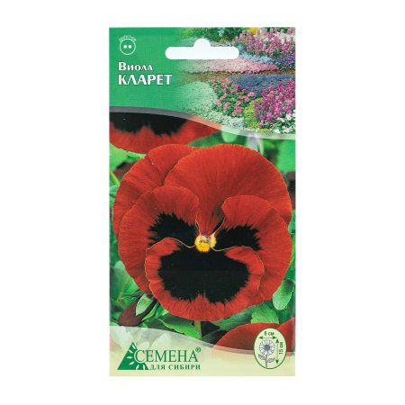 Семена виолы Кларет  Семена для Сибири