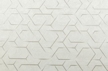 Обои флизелиновые Industry OMEGA 168554-21