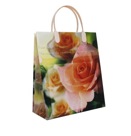 Пакет подарочный  Микс 26х23х10см мультиколор