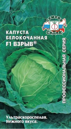 Семена капусты  Взрыв Седек