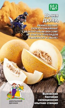 Семена дыни Дюна Уральский дачник