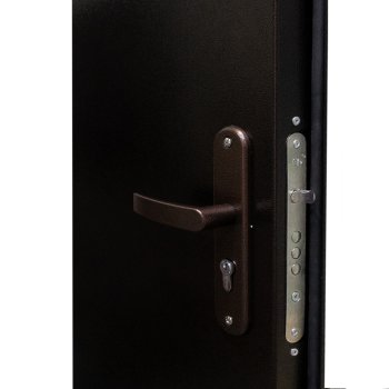 Дверь входная Профи PRO  960х2060 (мм) левая медный антик -  медный антик