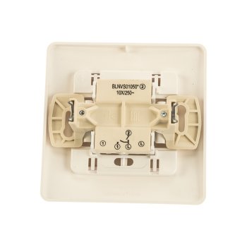 Выключатель встраиваемый Schneider Electric Blanca 2 кл. молочный, без подсветки, арт. BLNVS010502