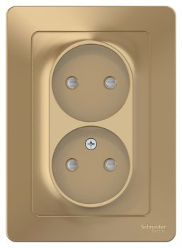 Розетка силовая двойная встраиваемая Schneider Electric Blanca без заземления, цвет титан, арт. BLNRS000124