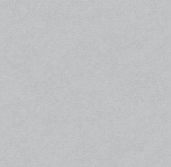 Обои флизелиновые Victoria Stenova  Magnolia 585117