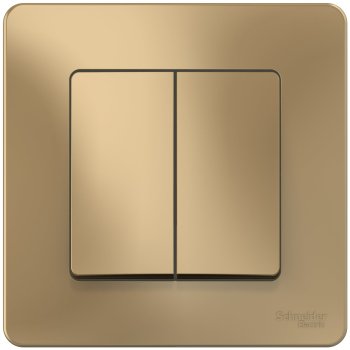 Выключатель встраиваемый Schneider Electric Blanca 2 кл. титан, без подсветки, арт. BLNVS010504