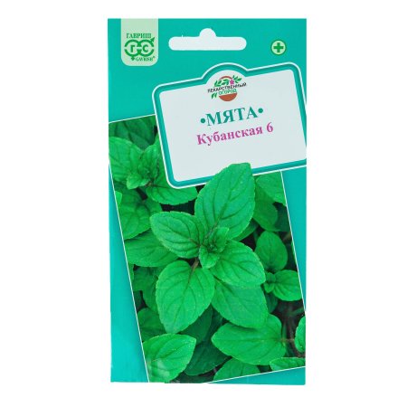 Семена пряности  Мята перечная Кубанская Семена для Сибири