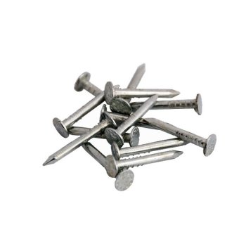 Гвоздь толевый оцинкованный  2х20мм 0,1кг