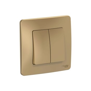 Выключатель встраиваемый Schneider Electric Blanca 2 кл. титан, без подсветки, арт. BLNVS010504