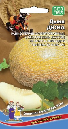 Семена дыни Дюна Уральский дачник