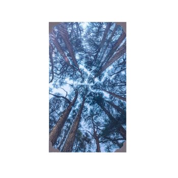 Картина на холсте