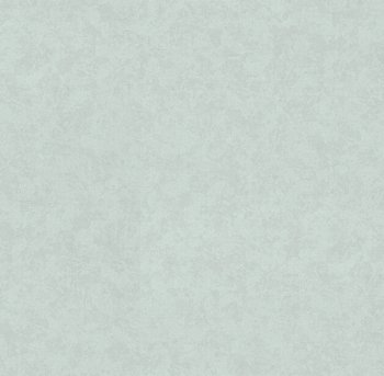 Обои флизелиновые VOG Collection David VV72261-17