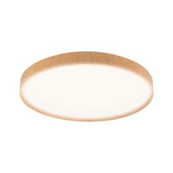 Настенно-потолочный светильник Pine 36Вт