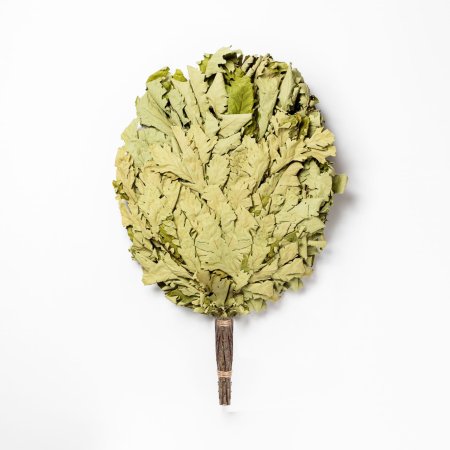 Веник банный дубовый, Дуб Веник стандарт Премиум