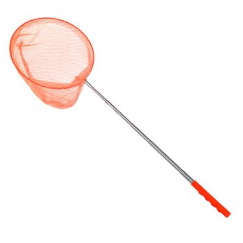 Сачок SILAPRO Сачок для ловли бабочек - мл - 20х20 см1 шт Сачок SILAPRO Сачок для ловли бабочек - мл - 20х20 см1 шт