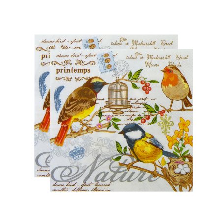 Салфетки бумажные Art Bouqet Птицы 33х33см 20шт