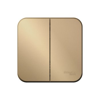 Выключатель накладной Schneider Electric Blanca 2 кл. титан, без подсветки, арт. BLNVA105014