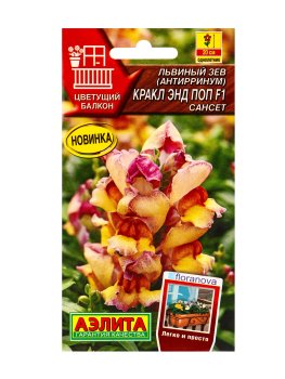 Семена львиного зева  Кракл энд поп F1 сансет Аэлита