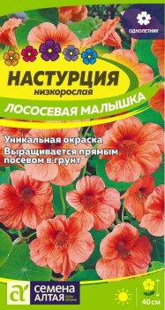 Семена настурции Лососевая малышка Семена Алтая