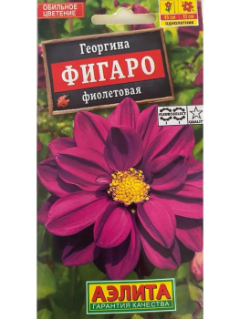 Семена георгина Фигаро фиолетовый махровый Аэлита