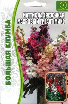 Семена маттиолы Махровый гигант срезочная микс (Редкие) Семена для Сибири