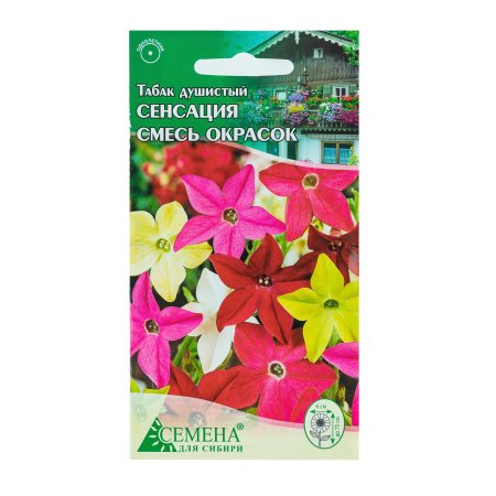 Семена табака Сенсация душистый Семена для Сибири