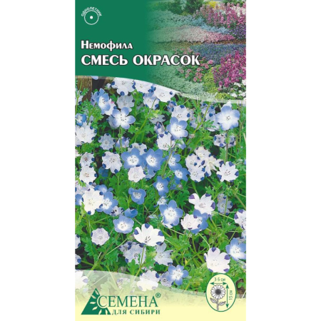Семена немофила Смесь  Семена для Сибири