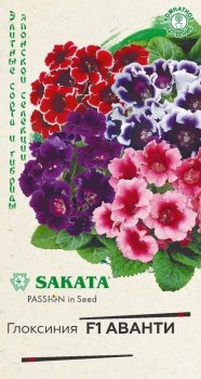 Семена комнатных цветов Глоксиния Аванти смесь F1 Гавриш