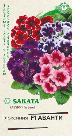 Семена комнатных цветов Глоксиния Аванти смесь F1 Гавриш