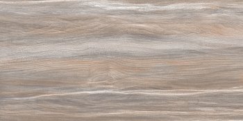 Плитка настенная Esprit, Wood, 50х25х0,9 см