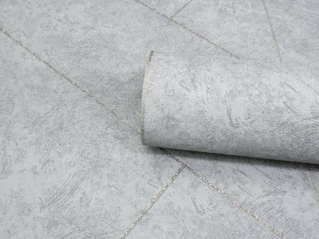 Обои флизелиновые Erismann Profi Deco Maison 60845-05