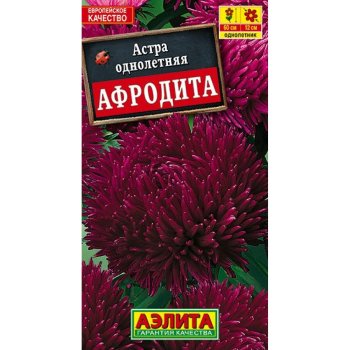 Семена астры Афродита Аэлита