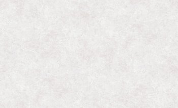 Обои флизелиновые Erismann Profi Deco Maison 60846-04