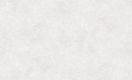 Обои флизелиновые Erismann Profi Deco Maison 60846-04