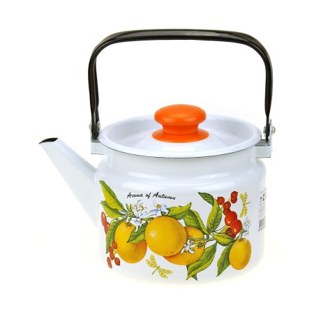 Чайник  Фруктовая фантазия 2л эмалированная сталь