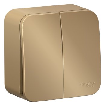 Выключатель накладной Schneider Electric Blanca 2 кл. титан, без подсветки, арт. BLNVA105014