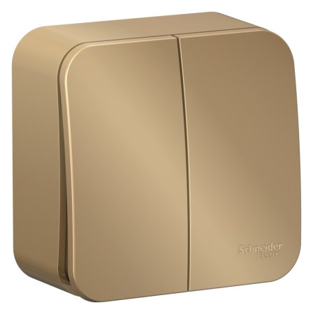 Выключатель накладной Schneider Electric Blanca 2 кл. титан, без подсветки, арт. BLNVA105014