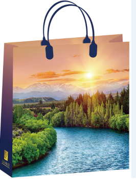 Пакет подарочный  30х30х10см мультиколор